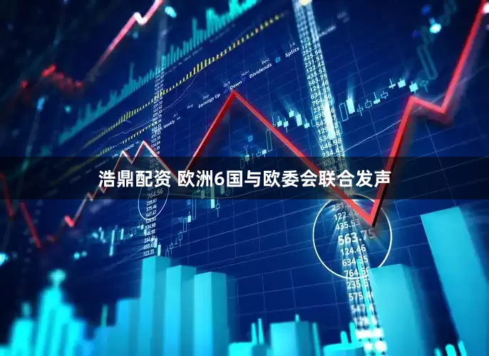 浩鼎配资 欧洲6国与欧委会联合发声
