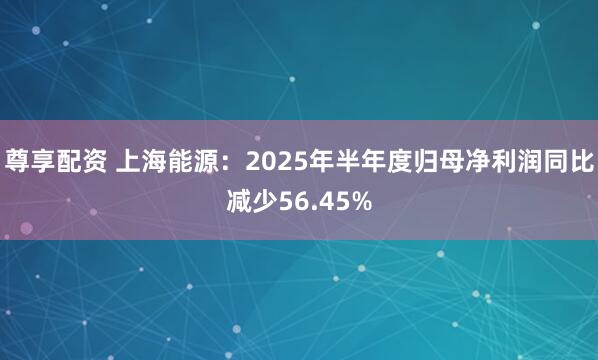 尊享配资 上海能源：2025年半年度归母净利润同比减少56.45%