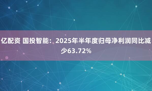亿配资 国投智能：2025年半年度归母净利润同比减少63.72%
