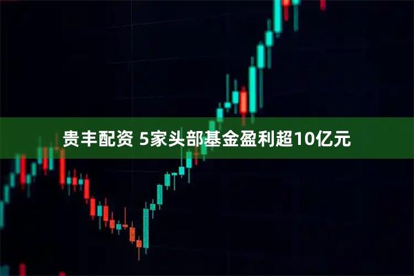 贵丰配资 5家头部基金盈利超10亿元