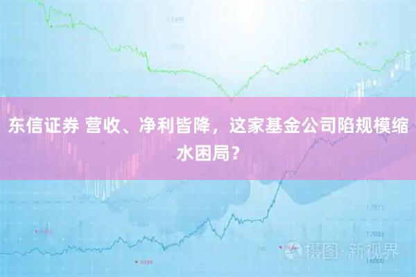 东信证券 营收、净利皆降，这家基金公司陷规模缩水困局？
